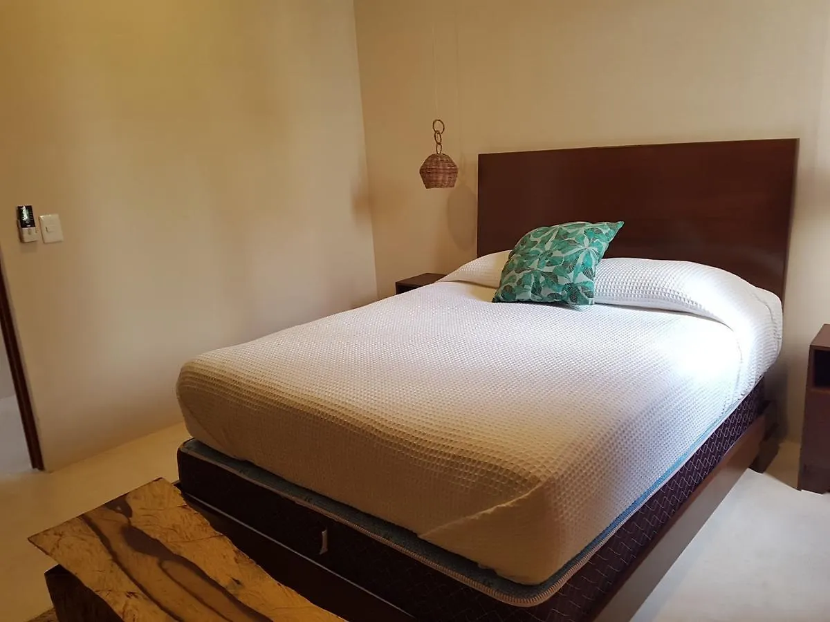Rooftop Pool Apartments Тулум Мексика